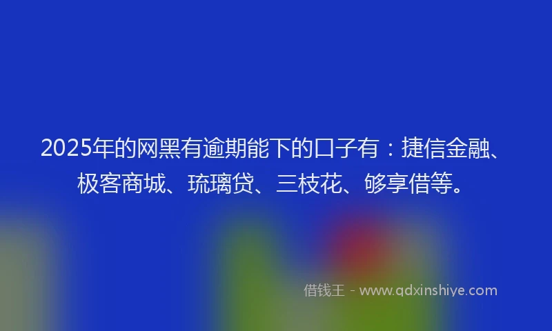 2025年的网黑有逾期能下的口子有：捷信金融、极客商城、琉璃贷、三枝花、够享借等。