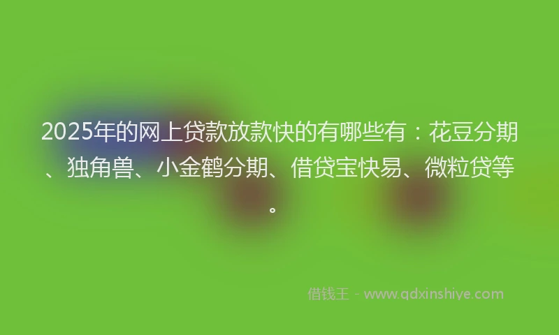 2025年的网上贷款放款快的有哪些有：花豆分期、独角兽、小金鹤分期、借贷宝快易、微粒贷等。