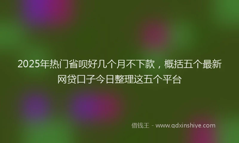 2025年热门省呗好几个月不下款，概括五个最新网贷口子今日整理这五个平台