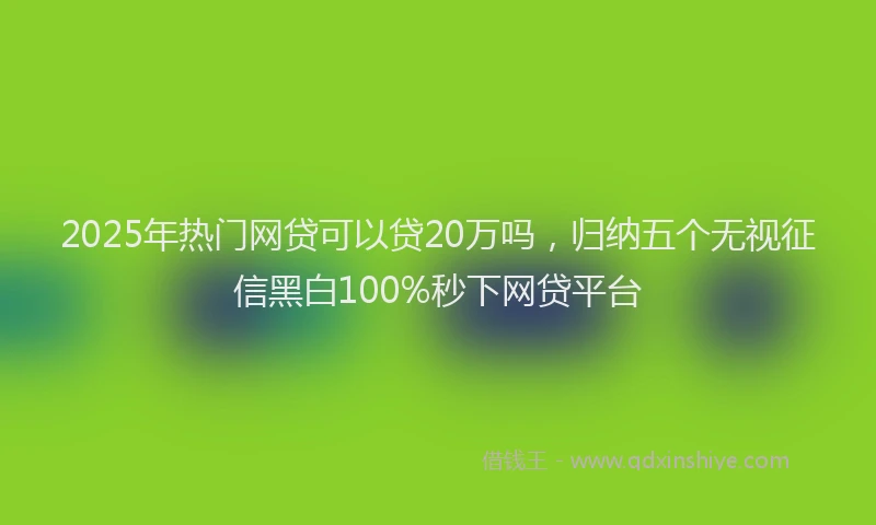 2025年热门网贷可以贷20万吗，归纳五个无视征信黑白100%秒下网贷平台