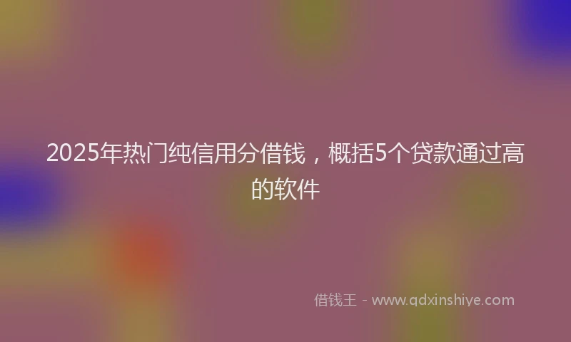 2025年热门纯信用分借钱，概括5个贷款通过高的软件