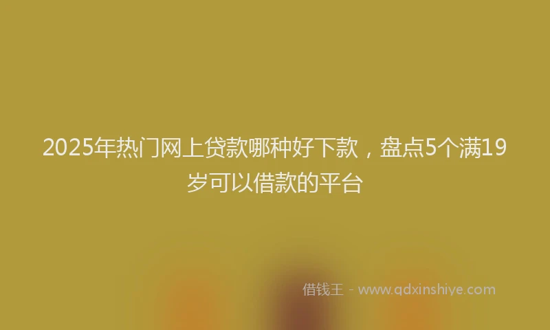 2025年热门网上贷款哪种好下款,盘点5个满19岁可以借款的平台