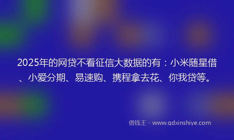 2025年的网贷不看征信大数据的有：小米随星借、小爱分期、易速购、携程拿去花、你我贷等。