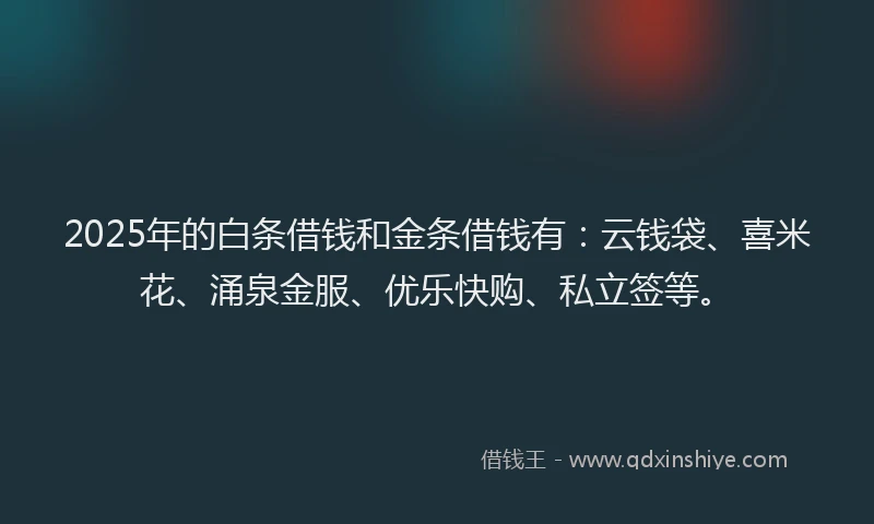 2025年的白条借钱和金条借钱有：云钱袋、喜米花、涌泉金服、优乐快购、私立签等。