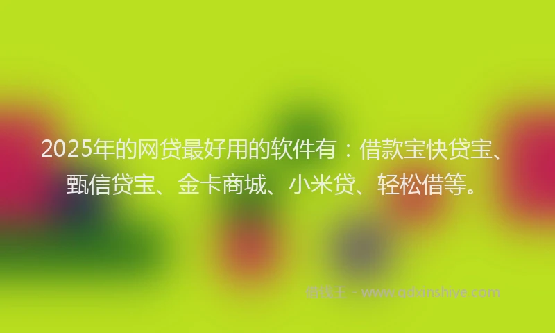 2025年的网贷最好用的软件有：借款宝快贷宝、甄信贷宝、金卡商城、小米贷、轻松借等。