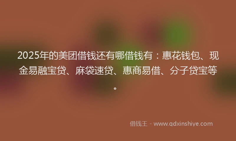 2025年的美团借钱还有哪借钱有：惠花钱包、现金易融宝贷、麻袋速贷、惠商易借、分子贷宝等。