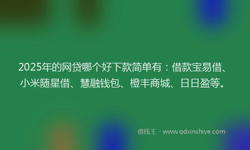 2025年的网贷哪个好下款简单有：借款宝易借、小米随星借、慧融钱包、橙丰商城、日日盈等。