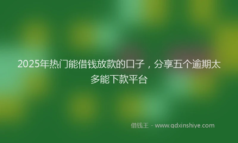 2025年热门能借钱放款的口子,分享五个逾期太多能下款平台