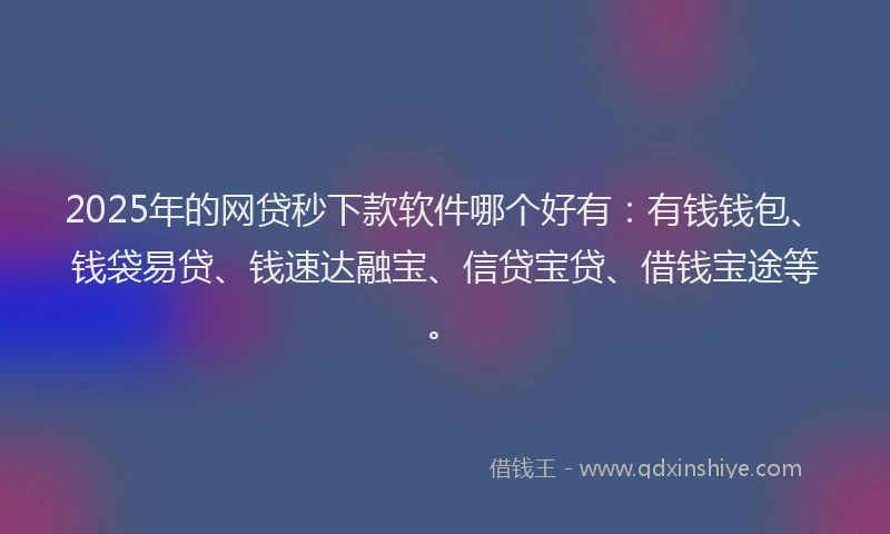 2025年的网贷秒下款软件哪个好有：有钱钱包、钱袋易贷、钱速达融宝、信贷宝贷、借钱宝途等。
