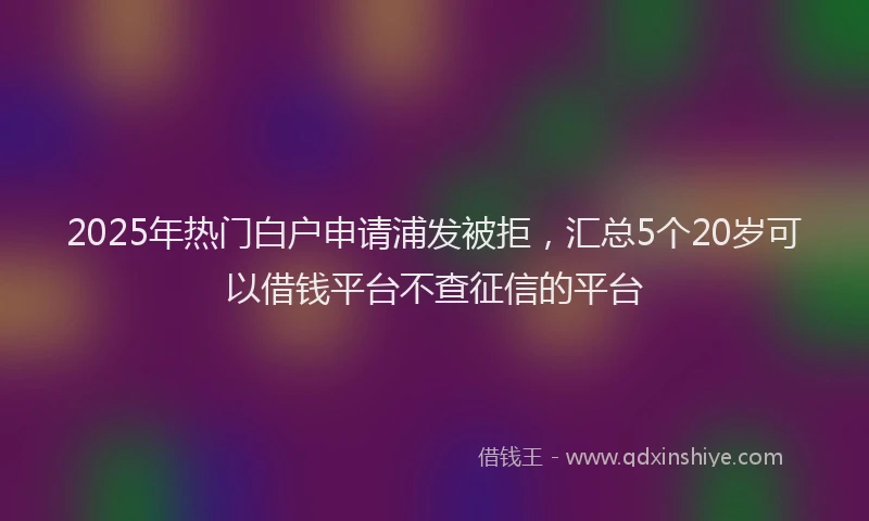 2025年热门白户申请浦发被拒，汇总5个20岁可以借钱平台不查征信的平台
