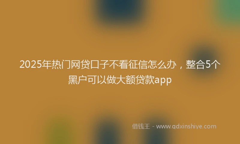 2025年热门网贷口子不看征信怎么办，整合5个黑户可以做大额贷款app