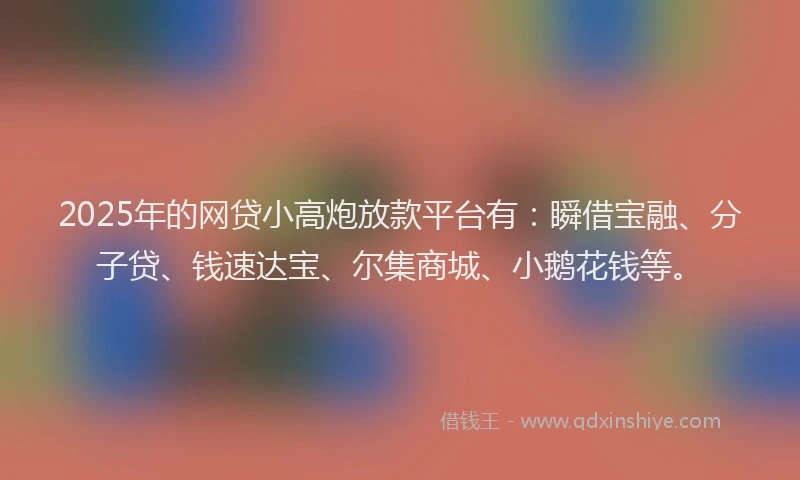 2025年的网贷小高炮放款平台有：瞬借宝融、分子贷、钱速达宝、尔集商城、小鹅花钱等。