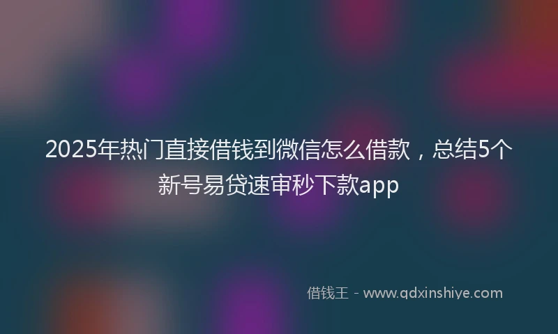 2025年热门直接借钱到微信怎么借款，总结5个新号易贷速审秒下款app