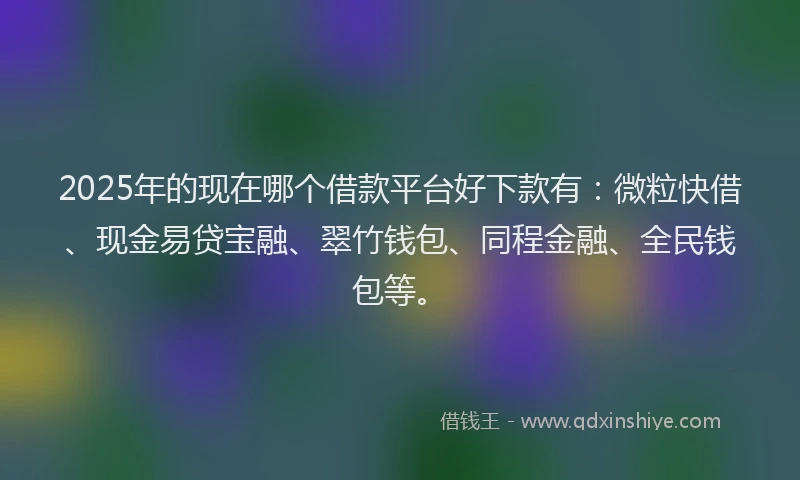 2025年的现在哪个借款平台好下款有:微粒快借、现金易贷宝融、翠竹钱包、同程金融、全民钱包等。