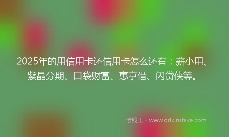 2025年的用信用卡还信用卡怎么还有：薪小用、紫晶分期、口袋财富、惠享借、闪贷侠等。