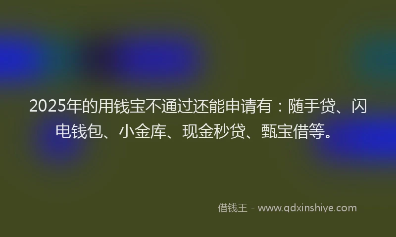 2025年的用钱宝不通过还能申请有：随手贷、闪电钱包、小金库、现金秒贷、甄宝借等。