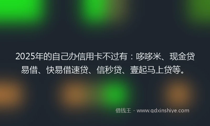 2025年的自己办信用卡不过有:哆哆米、现金贷易借、快易借速贷、信秒贷、壹起马上贷等。