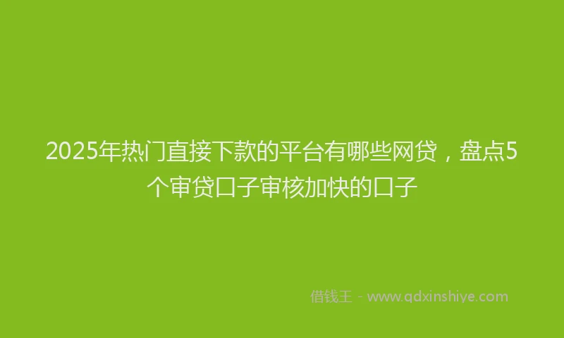 2025年热门直接下款的平台有哪些网贷，盘点5个审贷口子审核加快的口子