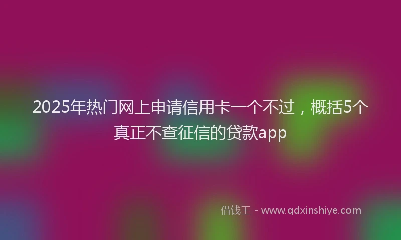 2025年热门网上申请信用卡一个不过，概括5个真正不查征信的贷款app