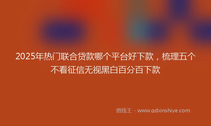 2025年热门联合贷款哪个平台好下款，梳理五个不看征信无视黑白百分百下款