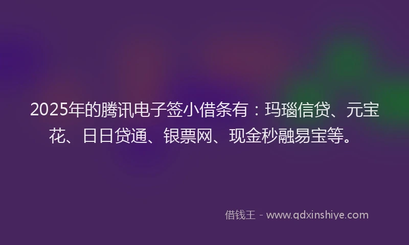 2025年的腾讯电子签小借条有：玛瑙信贷、元宝花、日日贷通、银票网、现金秒融易宝等。