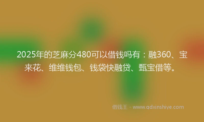 2025年的芝麻分480可以借钱吗有：融360、宝来花、维维钱包、钱袋快融贷、甄宝借等。