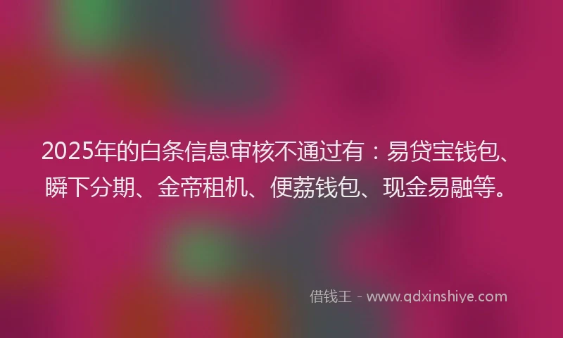 2025年的白条信息审核不通过有：易贷宝钱包、瞬下分期、金帝租机、便荔钱包、现金易融等。
