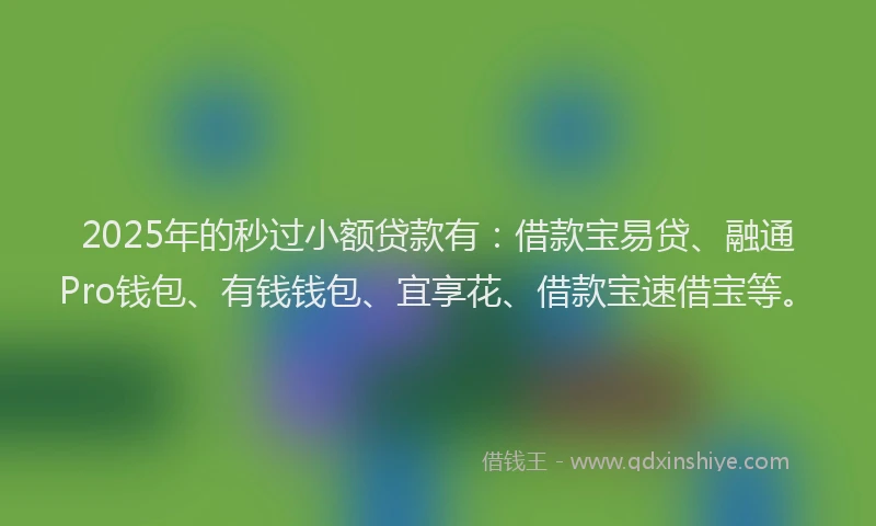 2025年的秒过小额贷款有:借款宝易贷、融通Pro钱包、有钱钱包、宜享花、借款宝速借宝等。