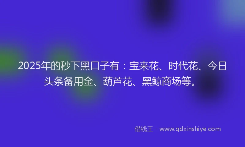 2025年的秒下黑口子有：宝来花、时代花、今日头条备用金、葫芦花、黑鲸商场等。