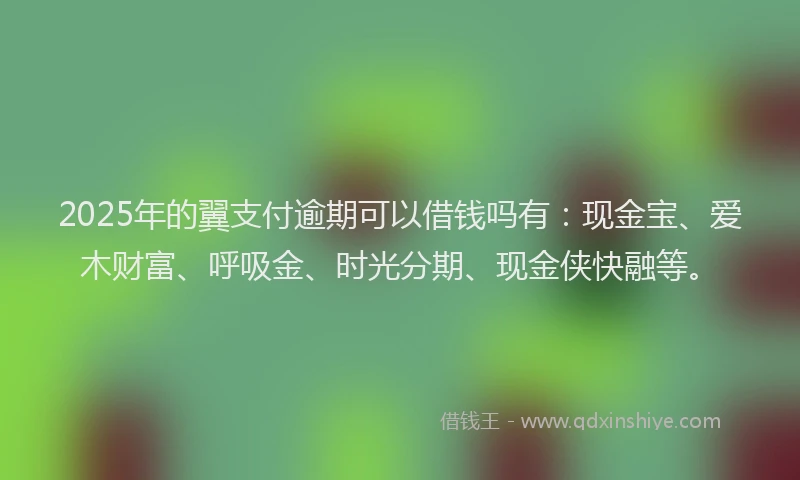 2025年的翼支付逾期可以借钱吗有:现金宝、爱木财富、呼吸金、时光分期、现金侠快融等。