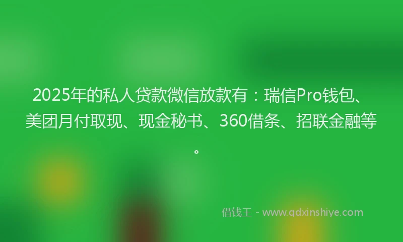 2025年的私人贷款微信放款有:瑞信Pro钱包、美团月付取现、现金秘书、360借条、招联金融等。