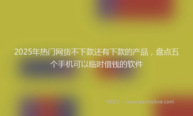 2025年热门网货不下款还有下款的产品，盘点五个手机可以临时借钱的软件
