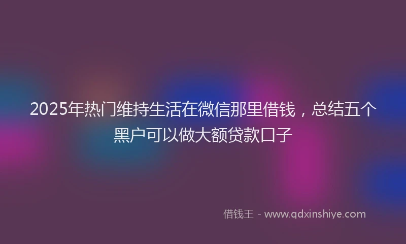 2025年热门维持生活在微信那里借钱，总结五个黑户可以做大额贷款口子