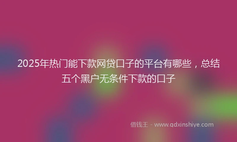 2025年热门能下款网贷口子的平台有哪些,总结五个黑户无条件下款的口子