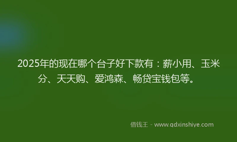 2025年的现在哪个台子好下款有:薪小用、玉米分、天天购、爱鸿森、畅贷宝钱包等。