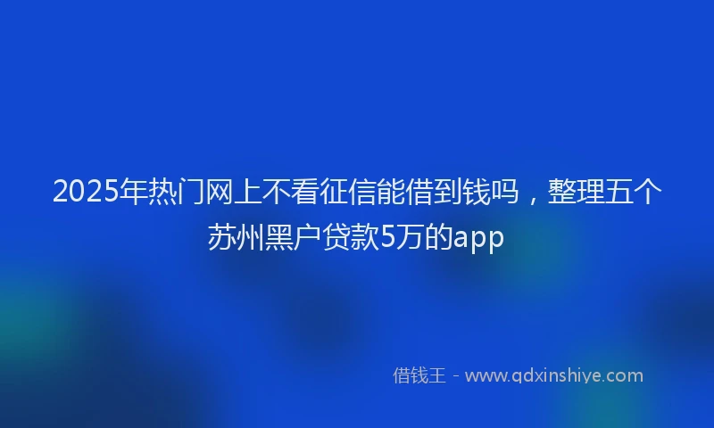 2025年热门网上不看征信能借到钱吗，整理五个苏州黑户贷款5万的app