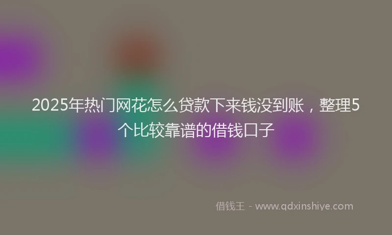 2025年热门网花怎么贷款下来钱没到账，整理5个比较靠谱的借钱口子