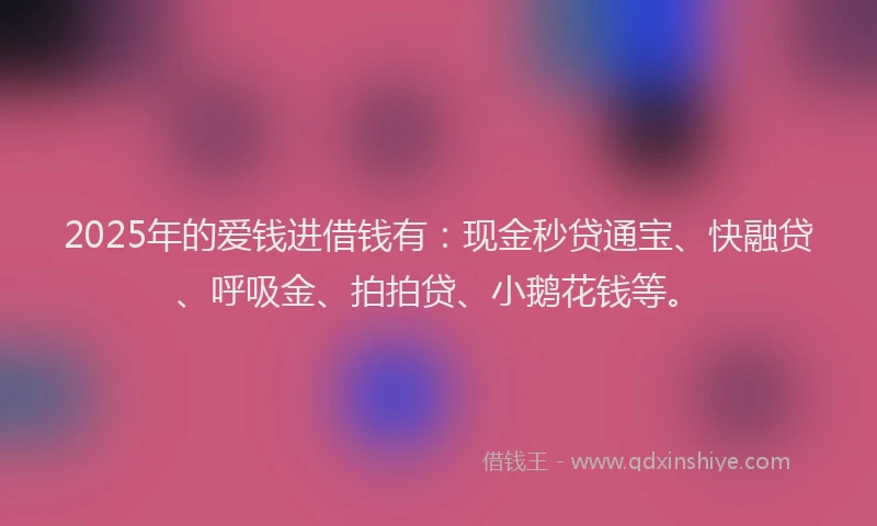 2025年的爱钱进借钱有：现金秒贷通宝、快融贷、呼吸金、拍拍贷、小鹅花钱等。