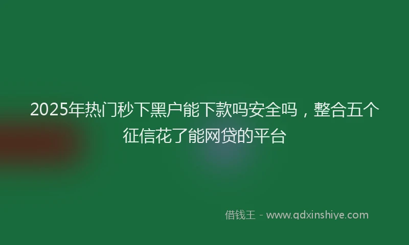 2025年热门秒下黑户能下款吗安全吗，整合五个征信花了能网贷的平台