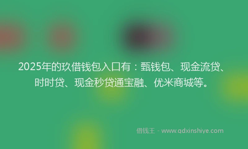 2025年的玖借钱包入口有：甄钱包、现金流贷、时时贷、现金秒贷通宝融、优米商城等。