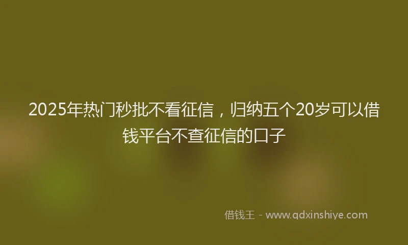 2025年热门秒批不看征信，归纳五个20岁可以借钱平台不查征信的口子