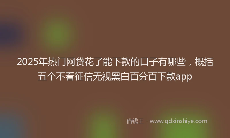 2025年热门网贷花了能下款的口子有哪些，概括五个不看征信无视黑白百分百下款app