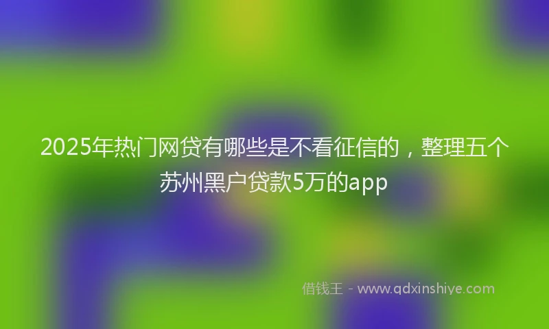 2025年热门网贷有哪些是不看征信的，整理五个苏州黑户贷款5万的app