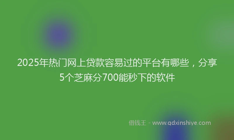2025年热门网上贷款容易过的平台有哪些,分享5个芝麻分700能秒下的软件