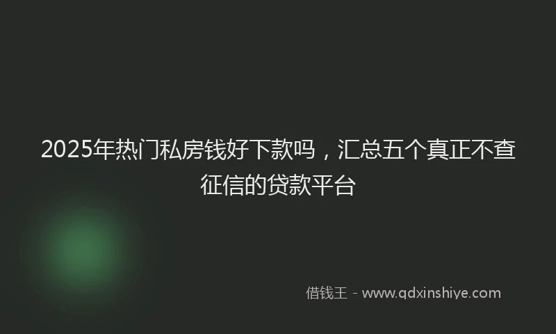 2025年热门私房钱好下款吗，汇总五个真正不查征信的贷款平台