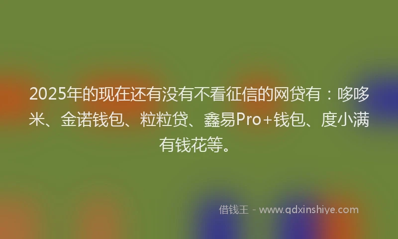 2025年的现在还有没有不看征信的网贷有：哆哆米、金诺钱包、粒粒贷、鑫易Pro+钱包、度小满有钱花等。