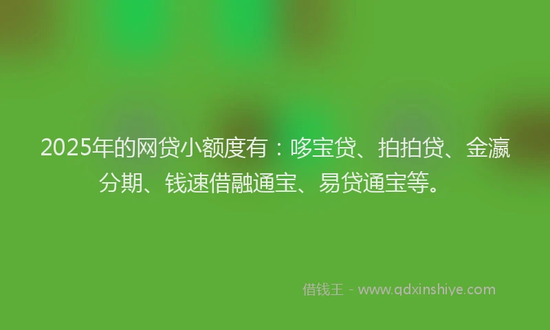 2025年的网贷小额度有：哆宝贷、拍拍贷、金瀛分期、钱速借融通宝、易贷通宝等。