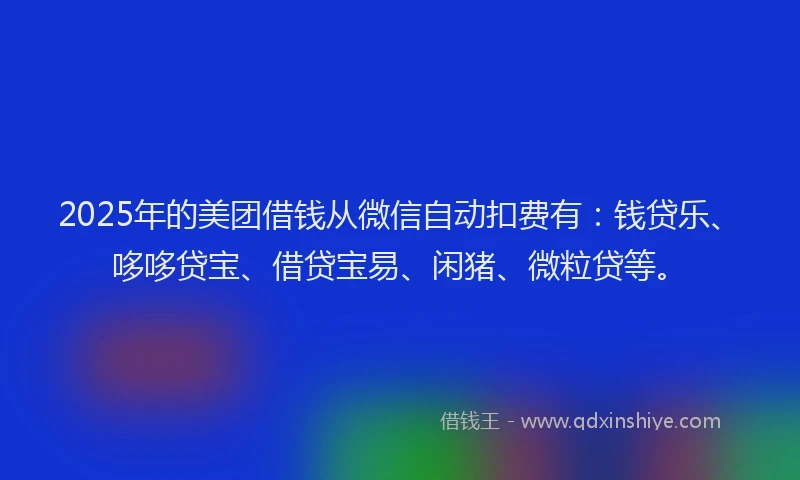 2025年的美团借钱从微信自动扣费有:钱贷乐、哆哆贷宝、借贷宝易、闲猪、微粒贷等。