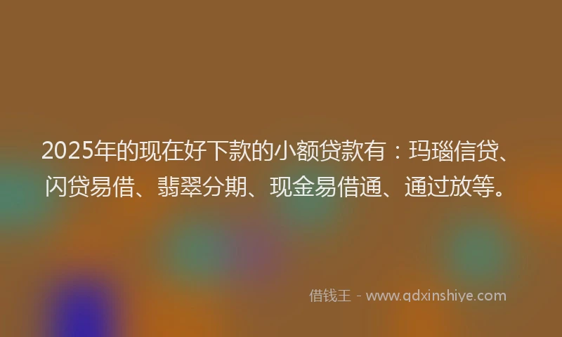 2025年的现在好下款的小额贷款有：玛瑙信贷、闪贷易借、翡翠分期、现金易借通、通过放等。
