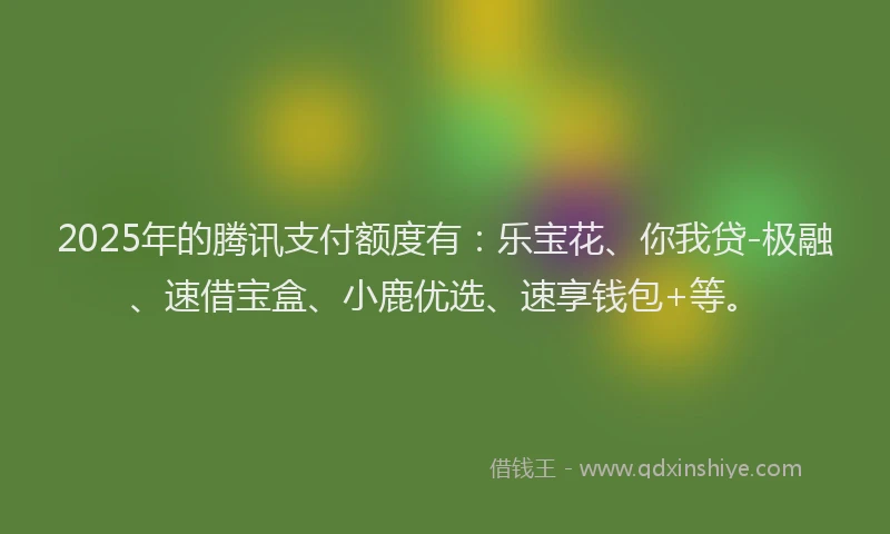 2025年的腾讯支付额度有：乐宝花、你我贷-极融、速借宝盒、小鹿优选、速享钱包+等。